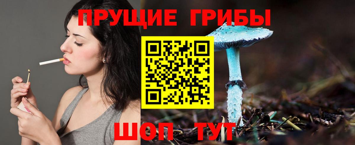 Галлюциногенные грибы Cubensis Борисоглебск